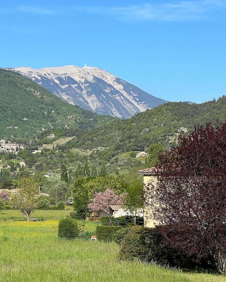 Appartement Bellevue Du Ventoux 蒙布兰莱班 外观 照片